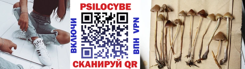 Купить закладки  Астрахань  Псилоцибиновые грибы Psilocybine cubensis 