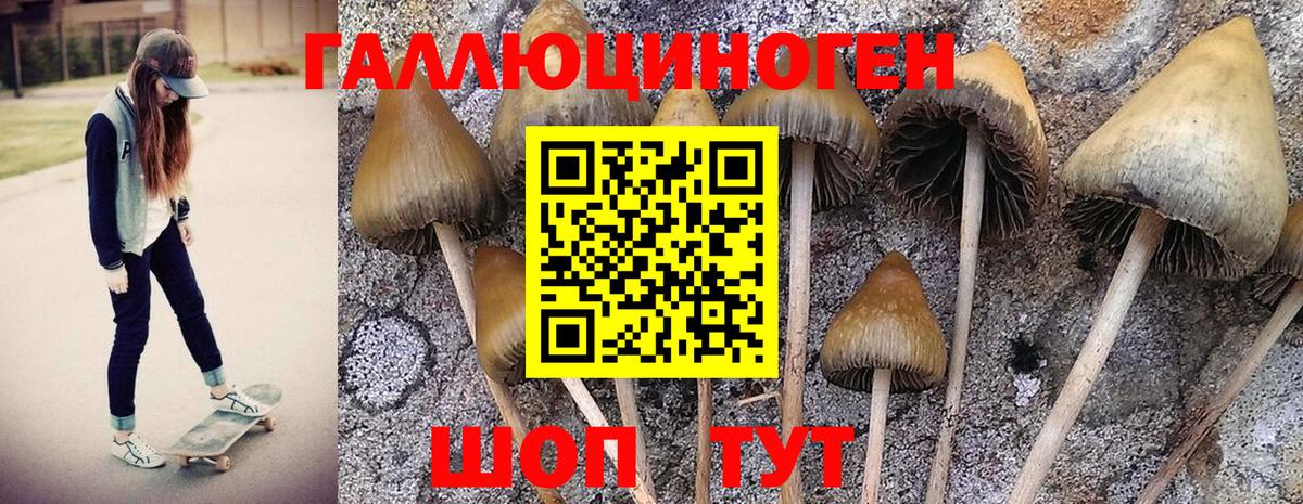 Псилоцибиновые грибы MAGIC MUSHROOMS  Астрахань  Псилоцибиновые грибы мухоморы 