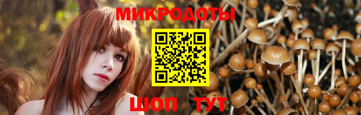 Галлюциногенные грибы Psilocybine cubensis  Вход с VPN  Астрахань 